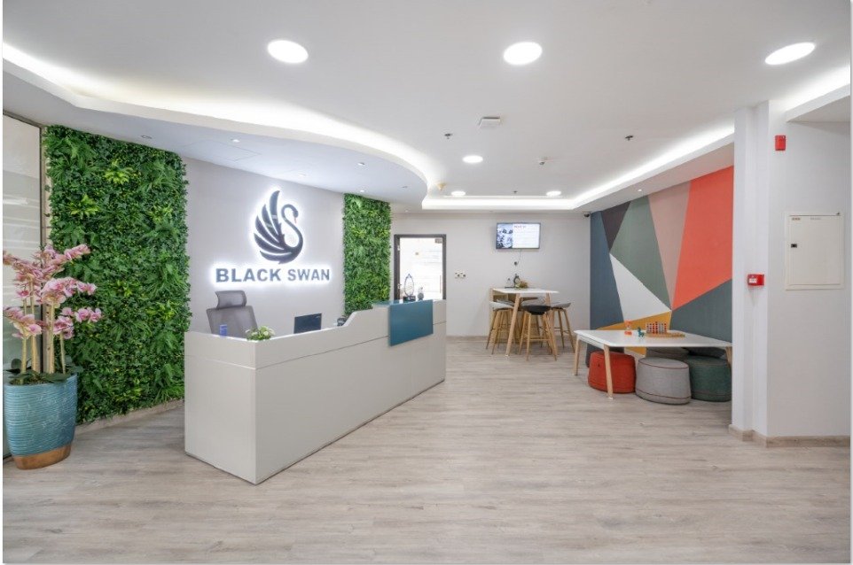 Black Swan workspace - Image 8